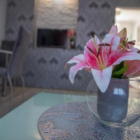 Dis Apartman 1 Kruševac エクステリア 写真