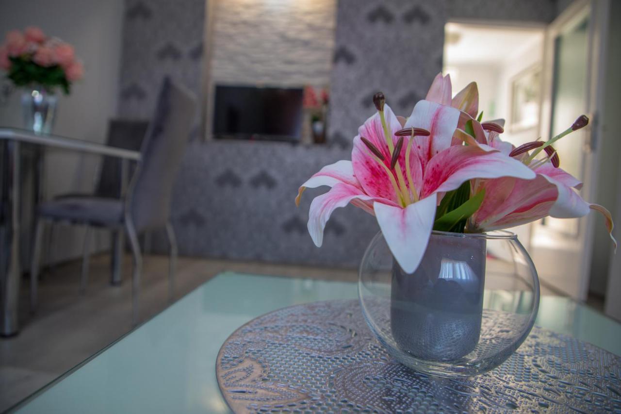 Dis Apartman 1 Kruševac エクステリア 写真